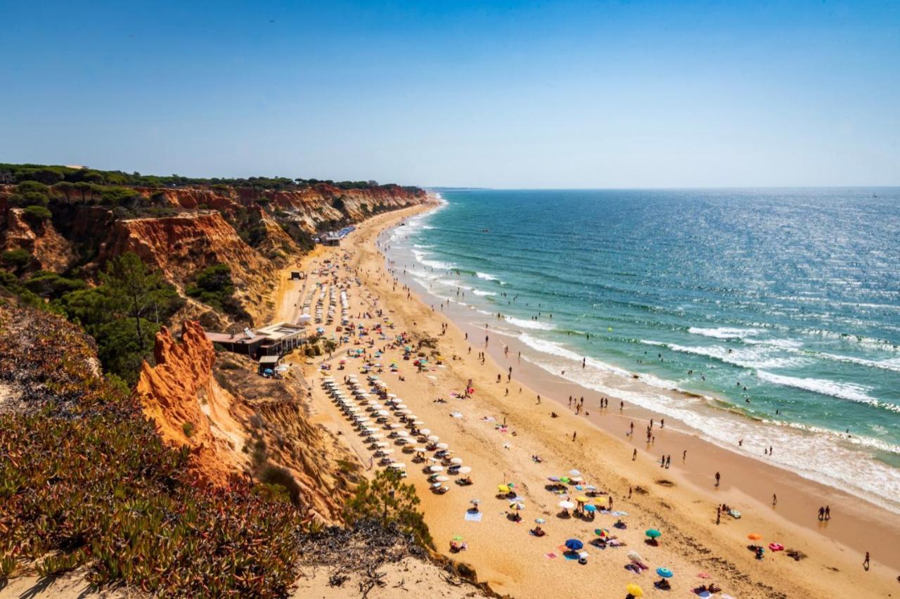 Balaia 3Br Sunny Terrace Lejlighed Albufeira Eksteriør billede
