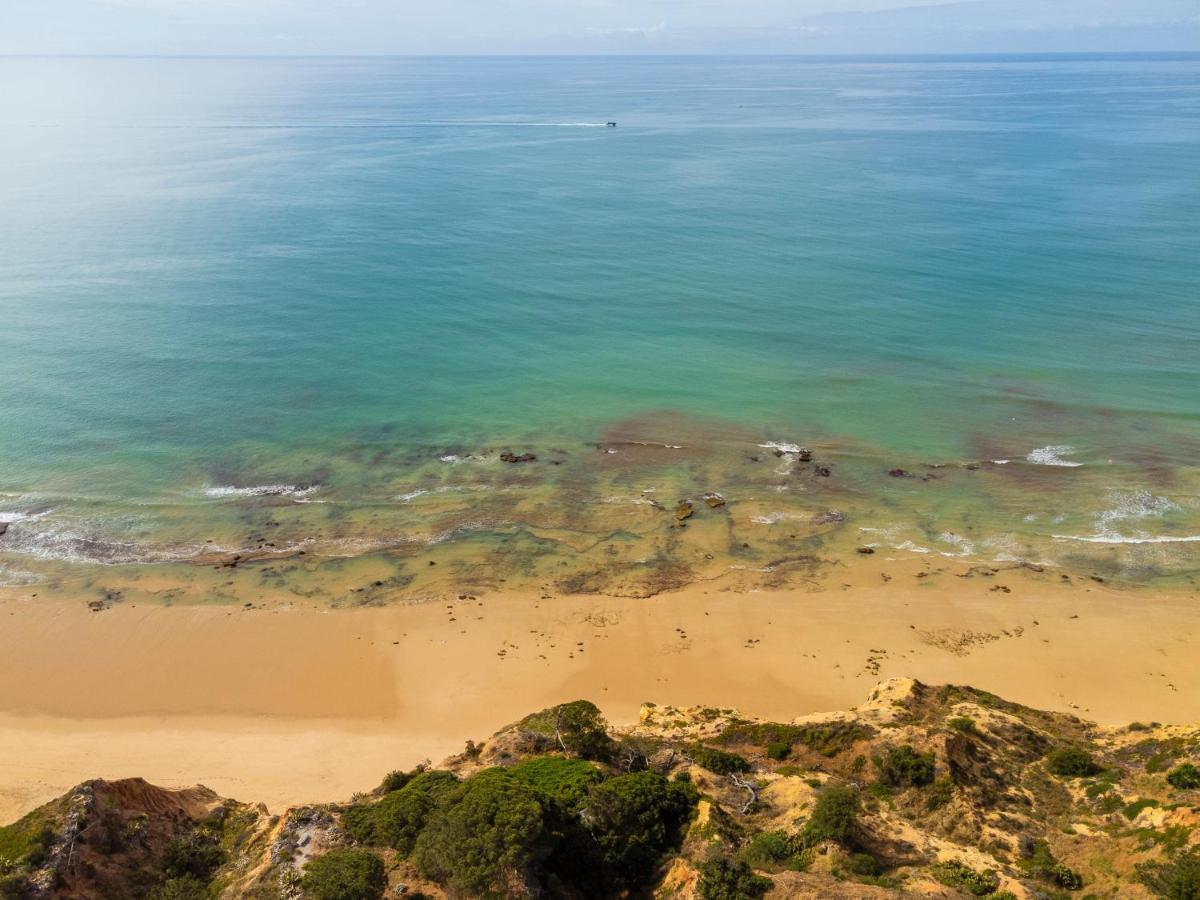 Balaia 3Br Sunny Terrace Lejlighed Albufeira Eksteriør billede